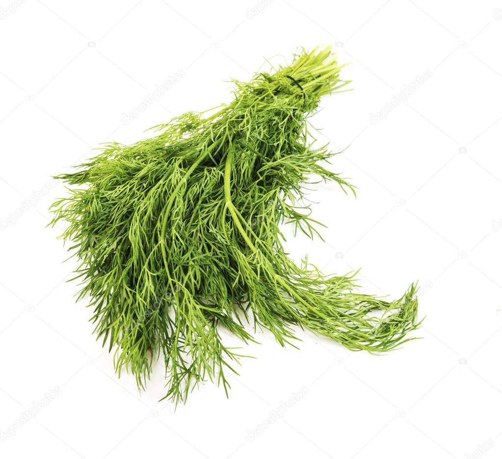 bunch fresh dill herb isolated on white background
