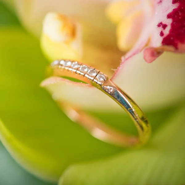 Золоте Кільце Заручин Красивій Квітці — стокове фото
