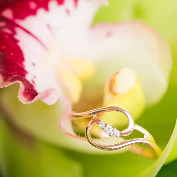 黄金订婚戒指在美丽的花 — 图库照片