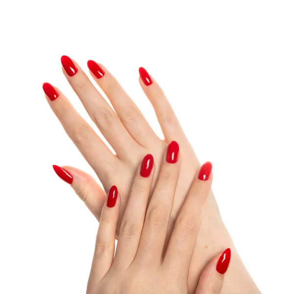 Mãos Mulher Com Unhas Vermelhas Cuidadas Isoladas Fundo Branco — Fotografia de Stock