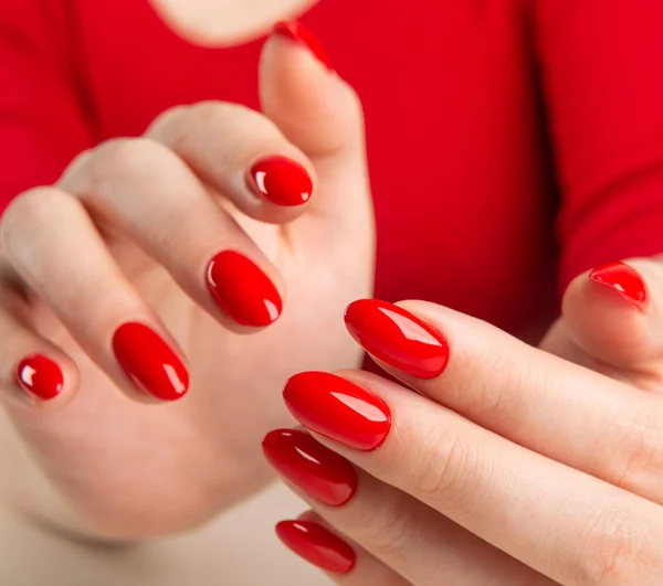 Ręce Młodej Kobiety Ciemny Czerwony Manicure — Zdjęcie stockowe