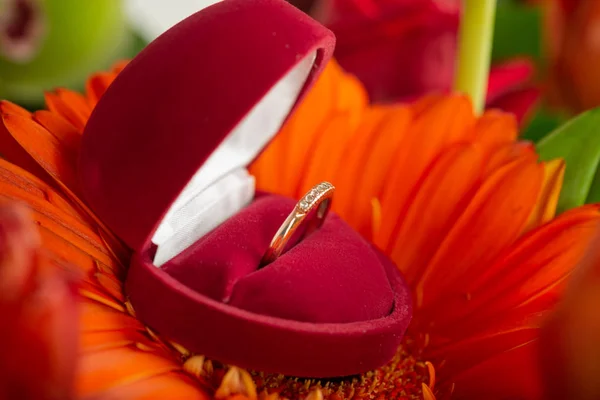 非洲菊花卉上的红色框中的订婚戒指 — 图库照片