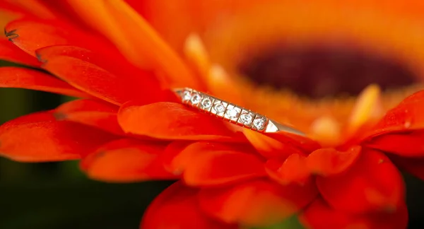 Anillo Compromiso Oro Hermosa Flor —  Fotos de Stock