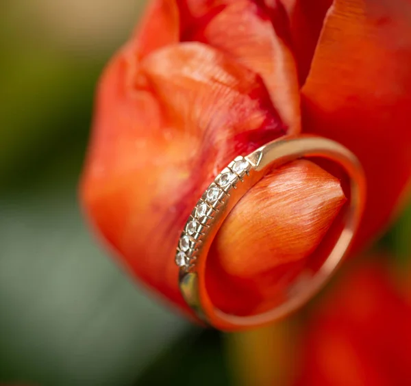 美しい花に金の婚約指輪 — ストック写真