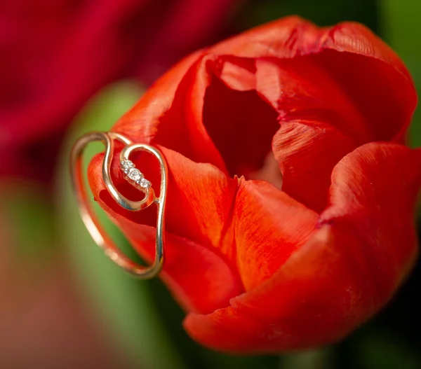 Zlatý Zásnubní Prsten Krásný Květ — Stock fotografie