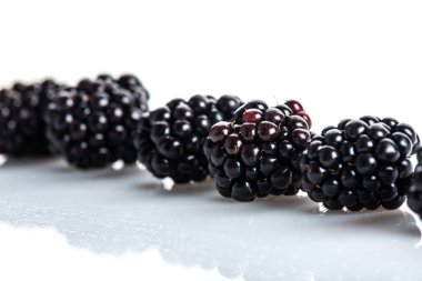 Beyaz arkaplanda izole edilmiş böğürtlen