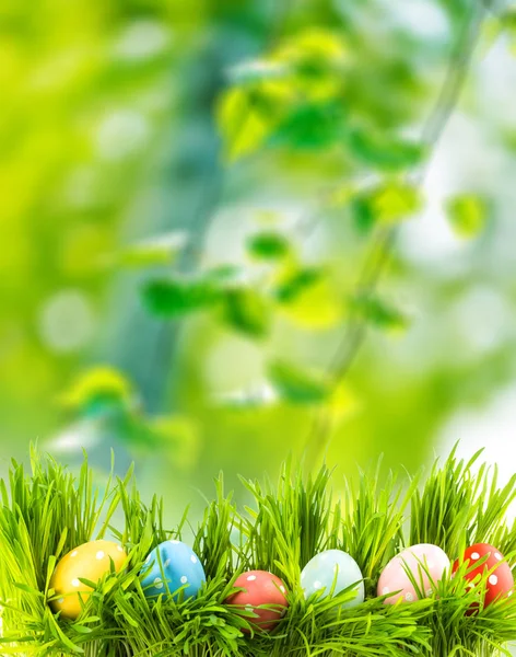 Easter Eggs Fresh Green Grass — Stock Photo, Image