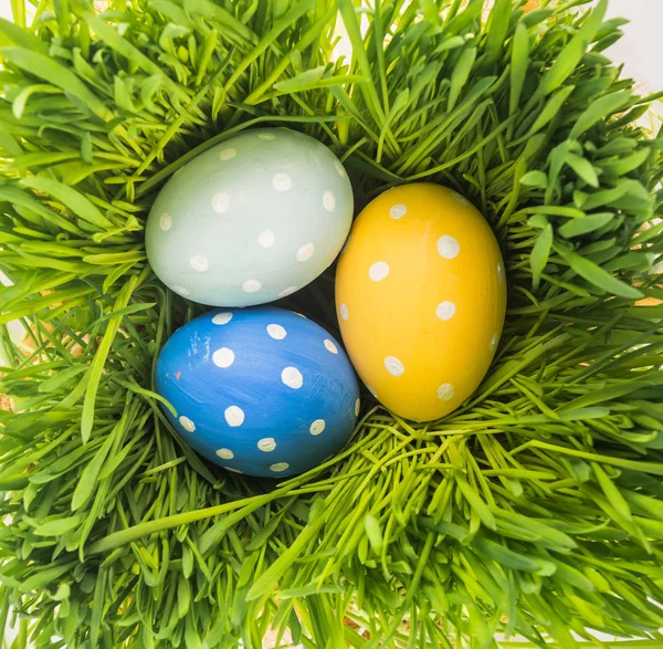 Colorful Easter Eggs Green Grass — Stock Photo, Image