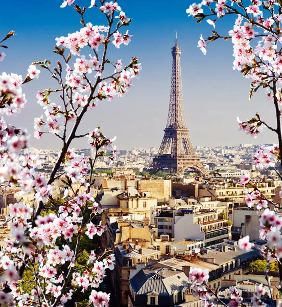 Spring Paris Sunset France — Stock Photo, Image