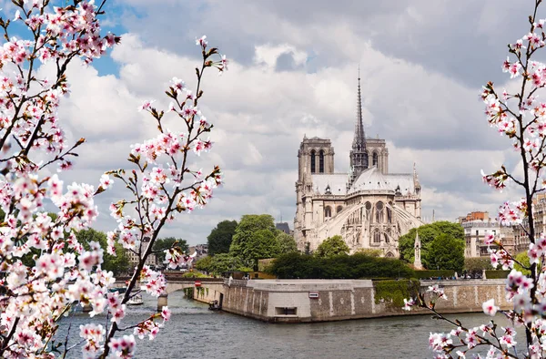 Jaro Paříži Katedrála Notre Dame Paris — Stock fotografie