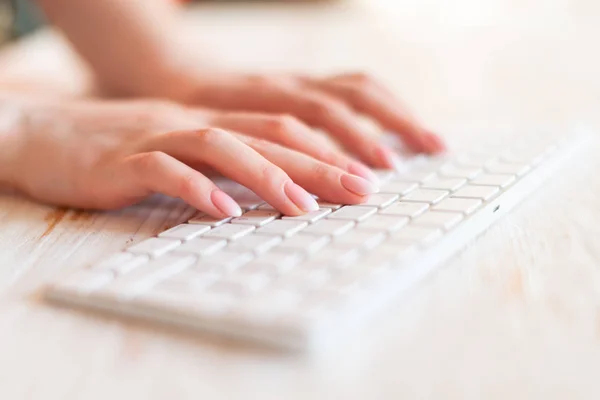 Weibliche Hände oder Büroangestellte tippen auf der Tastatur — Stockfoto