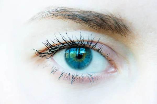 Beautiful female eyes with long eyelashes — Stock Photo, Image