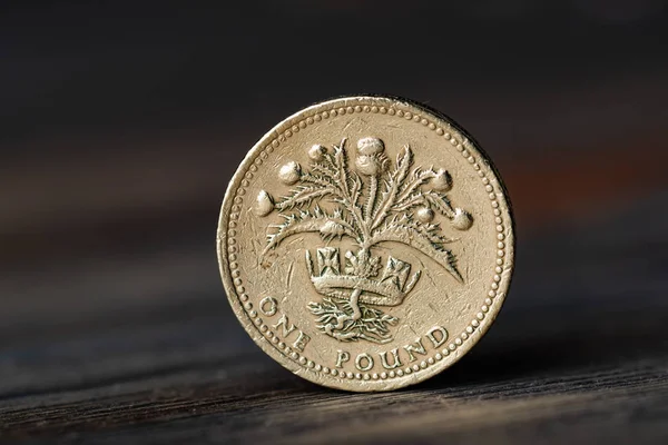 Pound GBP coin on the des — Stock Photo, Image