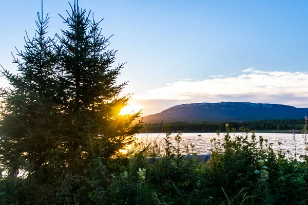 Beautiful Sunset Lake Summer — Stock Photo, Image