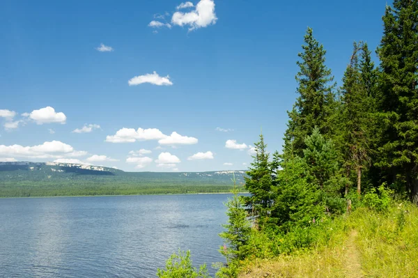 Pinheiros Lago Zyuratkul Rússia — Fotografia de Stock