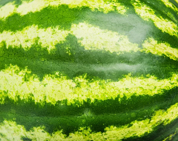 Striped Crust Watermelon Background — Stock Photo, Image