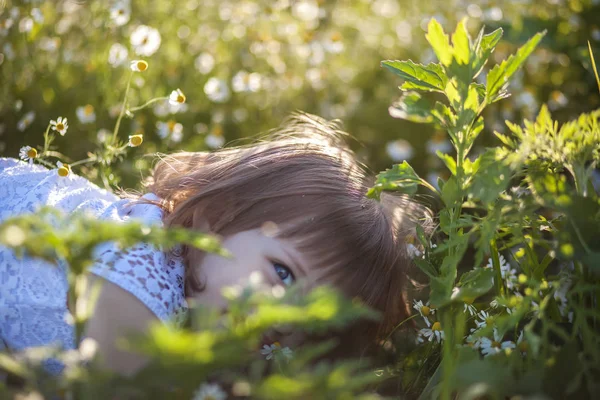 Niña de verano — Foto de Stock