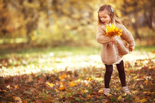 Menina engraçada no parque de outono — Fotografia de Stock