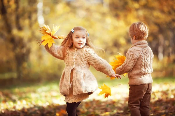 Lustige Zwillinge im Herbstpark — Stockfoto