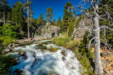 Kartal Falls adlı Lake Tahoe California, ABD.