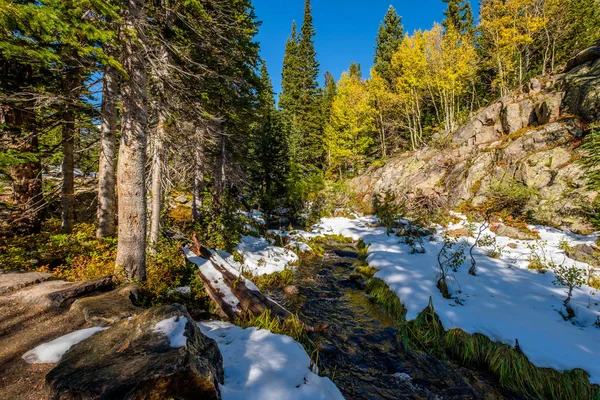 Sezon Zmiana Pierwszy Śnieg Jesienią Osiki Rocky Mountain National Park — Zdjęcie stockowe