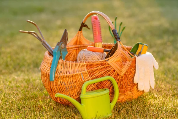 Gardening Tools Wicker Basket Watering Can Grass — Stock Photo, Image