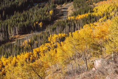 Rocky Dağı Ulusal Parkı 'nda sonbahar güneşli bir günde otoyol. Colorado, ABD. 