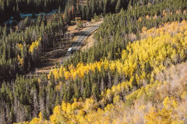 Rocky Dağı Ulusal Parkı 'nda sonbahar güneşli bir günde otoyol. Colorado, ABD. 