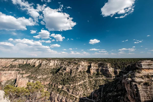 Grand Canyon Táj Arizona Amerikai Egyesült Államok — Stock Fotó