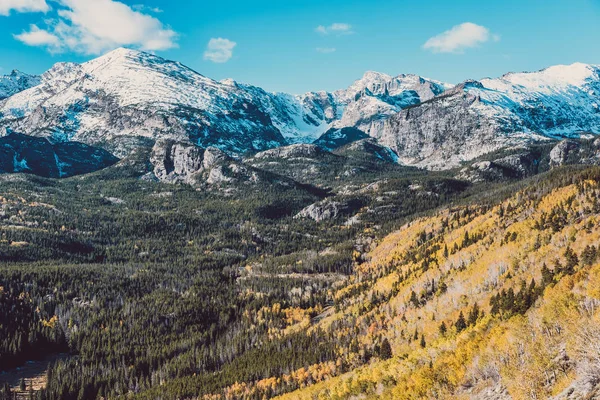 Aspen Grove Otoño Parque Nacional Las Montañas Rocosas Colorado Estados — Foto de Stock