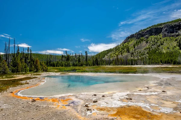 Ζεστό Ιαματικό Πράσινο Στο Εθνικό Πάρκο Yellowstone Μαύρη Άμμο Λεκανοπέδιο — Φωτογραφία Αρχείου