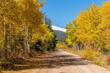Asfaltsız Yol Sonbahar güneşli gün, Colorado, ABD. 