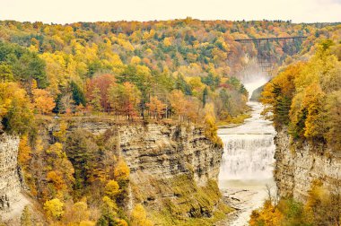 Şelalelerin sonbahar manzarası Letchworth Eyalet Parkı 'nda tıka basa dolacak.