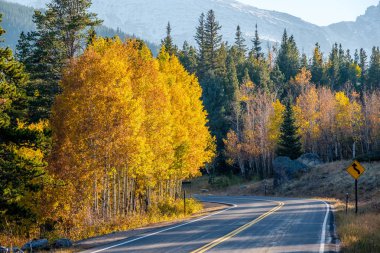 Rocky Dağı Ulusal Parkı 'nda sonbahar güneşli bir günde otoyol. Colorado, ABD. 