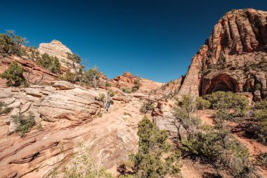 Utah, ABD 'deki Zion Ulusal Parkı' ndaki kaya oluşumlarıyla manzara