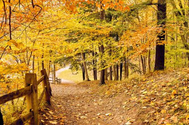 Letchworth Eyalet Parkı 'nda sonbahar manzarası
