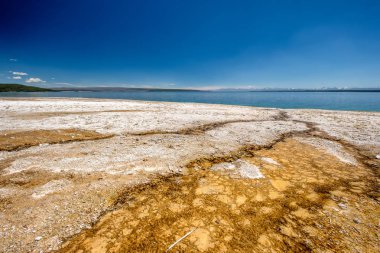 Yellowstone Gölü 'nde sıcak termal kaynak, West Thumb Geyser Havzası bölgesi, Wyoming, ABD