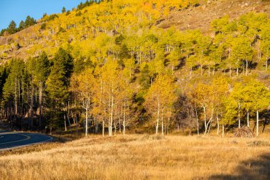 Rocky Dağı Ulusal Parkı 'nda sonbahar güneşli bir günde otoyol. Colorado, ABD. 
