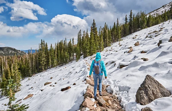 Turista Con Mochila Senderismo Sendero Nevado Rocky Mountain National Park — Foto de Stock