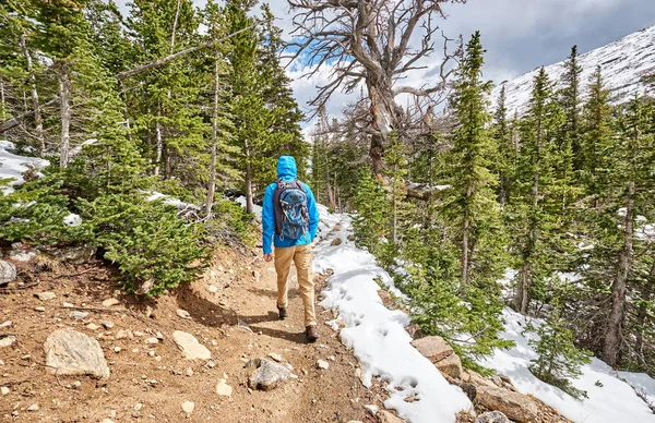 Tourist Mit Rucksack Wandern Auf Schneebedecktem Pfad Felsigen Berg Nationalpark — Stockfoto