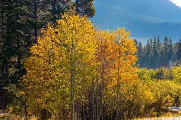 季節を変更すると コロラド州 米国の最初の雪と秋の木 — ストック写真