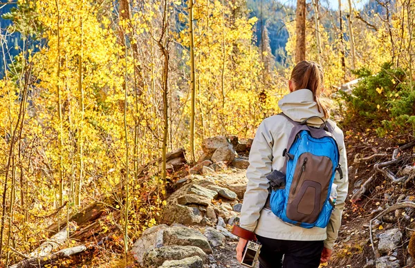 Жінка Туристичних Ходіння Сліду Аспен Grove Осінь Скелясті Гори Національного — стокове фото