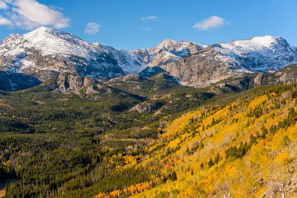 Aspen Grove Outono Parque Nacional Rocky Mountain Colorado Eua — Fotografia de Stock