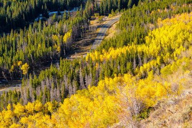 Rocky Dağı Ulusal Parkı 'nda sonbahar güneşli bir günde otoyol. Colorado, ABD. 