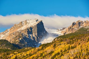 Sonbaharda Aspen korusu. Rocky Dağı Ulusal Parkı. Colorado, ABD. 