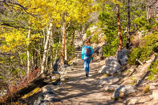 Turista Mujer Caminando Por Sendero Bosque Álamo Otoño Parque Nacional — Foto de Stock