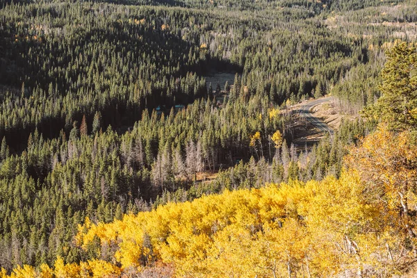 Rocky Dağı Ulusal Parkı 'nda sonbahar güneşli bir günde otoyol. Colorado, ABD. 