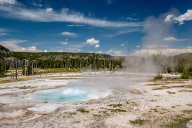 Kaplıca Spouter Şofben Yellowstone Milli Parkı'nda, siyah kum Havza alanı, Wyoming, ABD sıcak