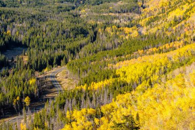 Rocky Dağı Ulusal Parkı 'nda sonbahar güneşli bir günde otoyol. Colorado, ABD. 