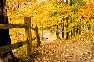 Letchworth Eyalet Parkı 'nda sonbahar manzarası